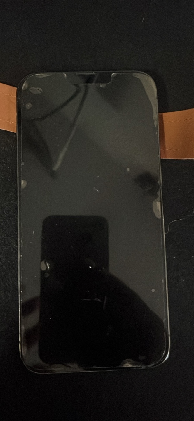 Used iPhone 13 Pro Max - 256 gb - photo 2