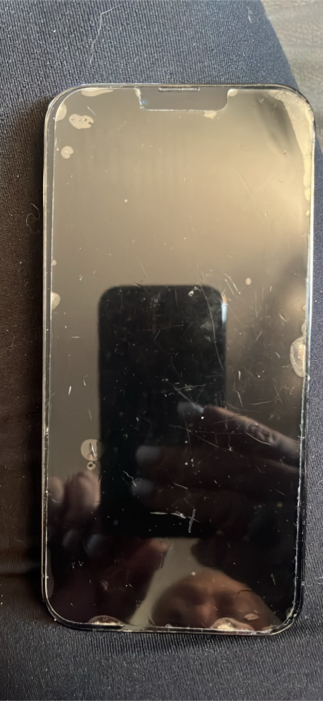 Used iPhone 13 Pro Max - 256 gb - photo 3