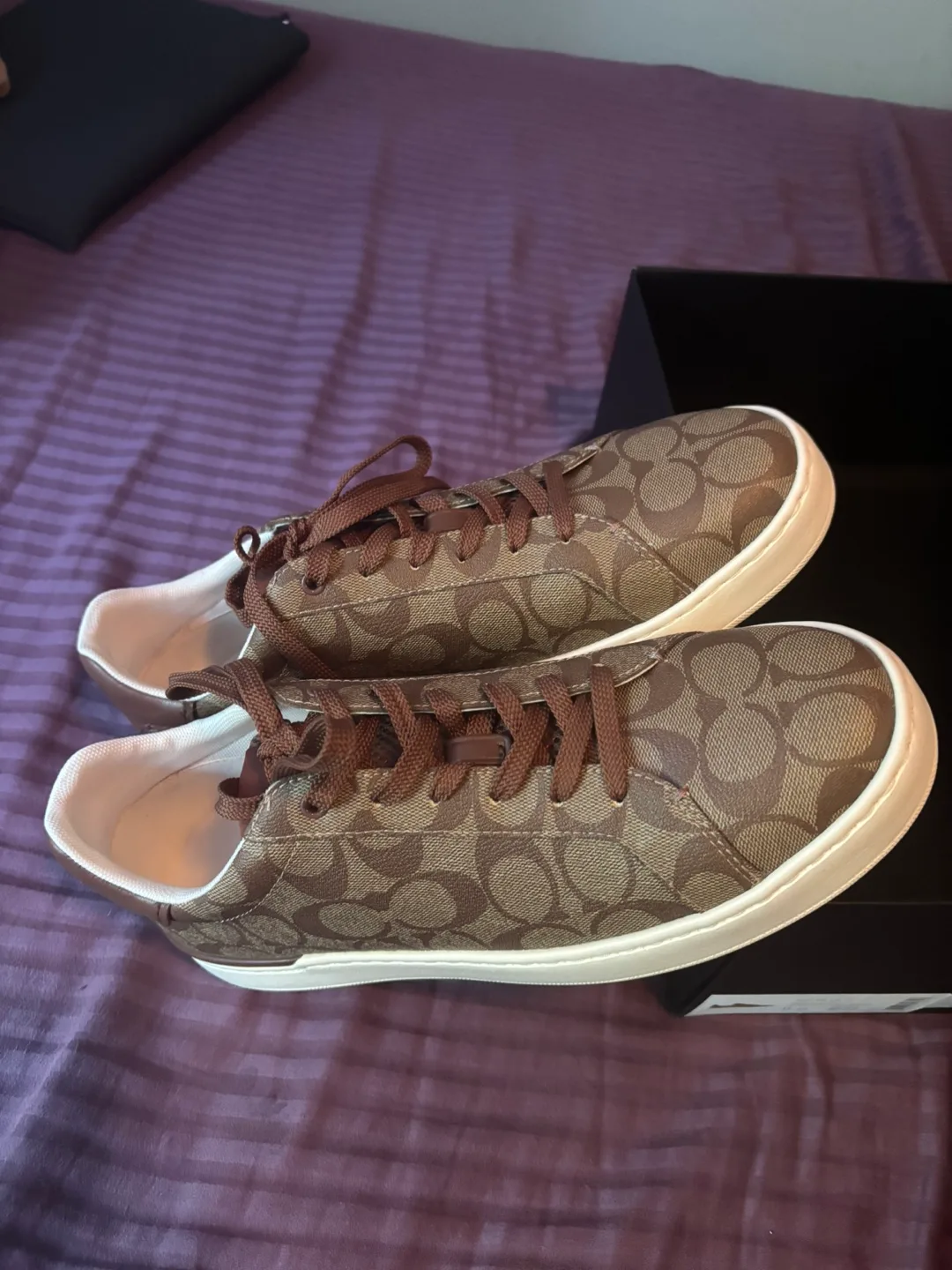 Coach CLP SIG LW TP Sneakers - US 11, Khaki/Saddle