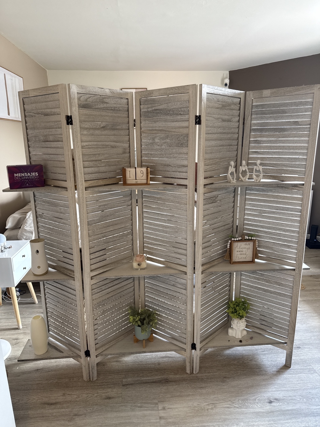 Room Divider with Shelves - Great Condition!