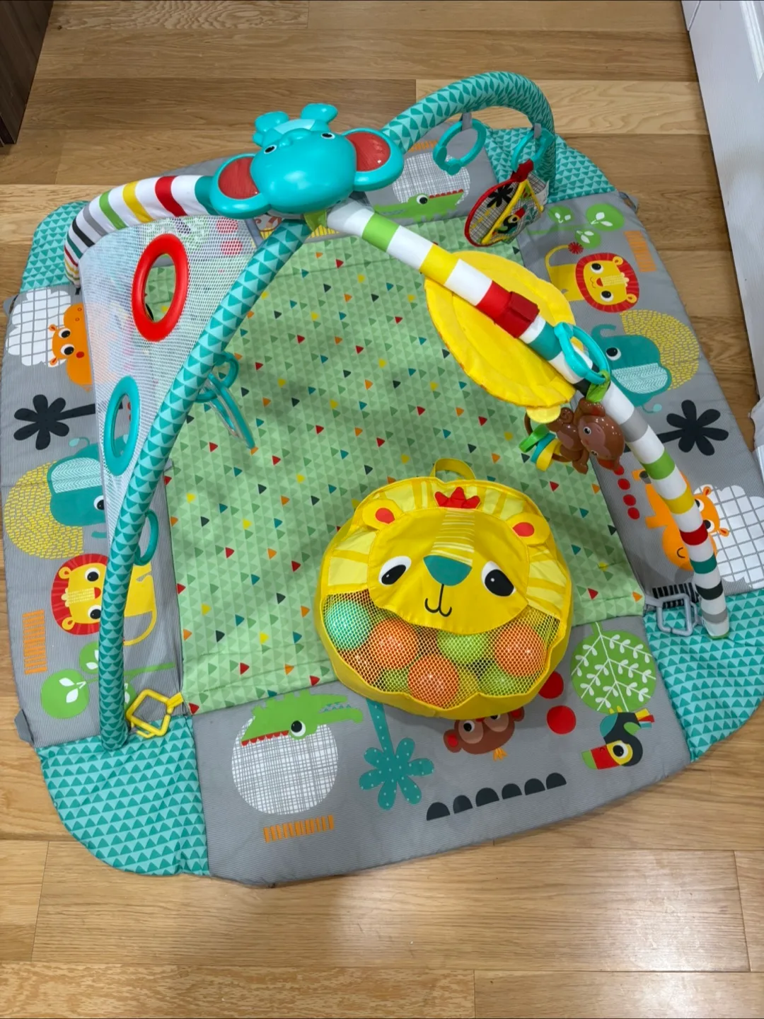 Bright Starts Activity Gym & Play Mat thumbnail