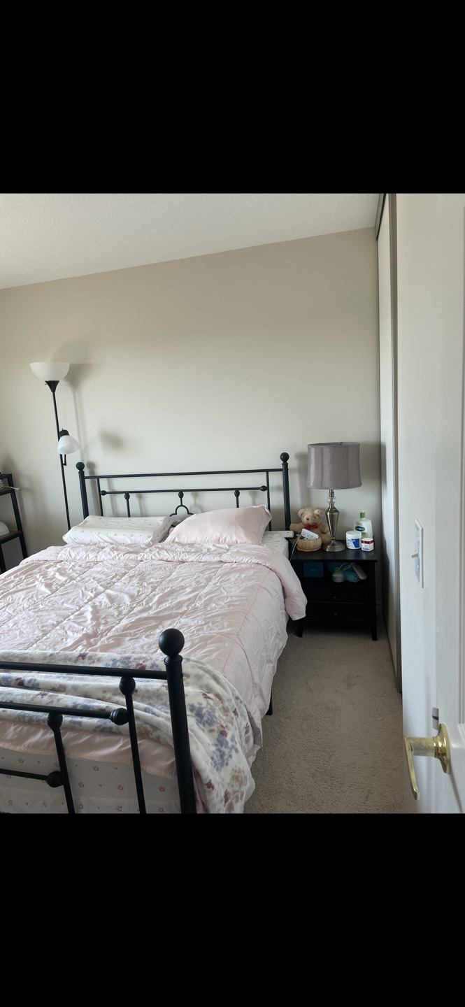 Queen Platform Bed and Mattress