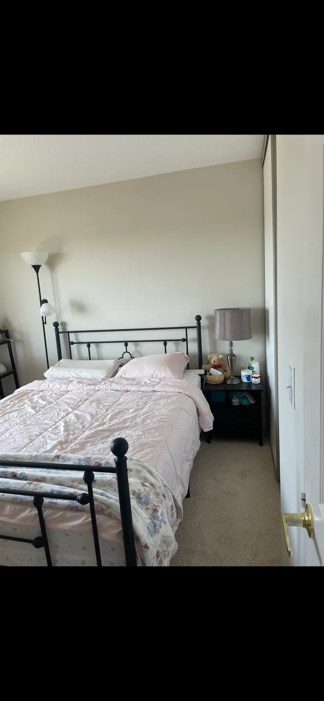 Queen Platform Bed and Mattress thumbnail