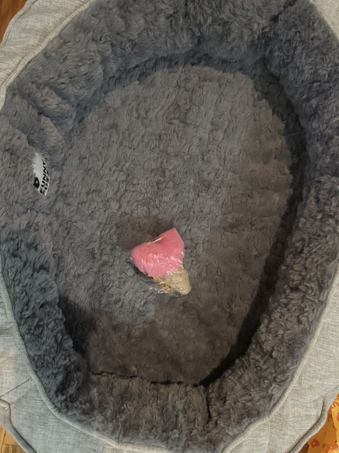 Brand new Large orthopedic dog bed plus extra cover