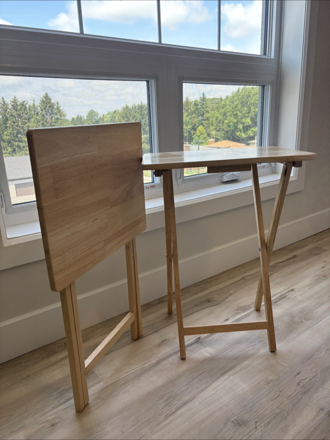 Folding Tray Tables (Set of 2)