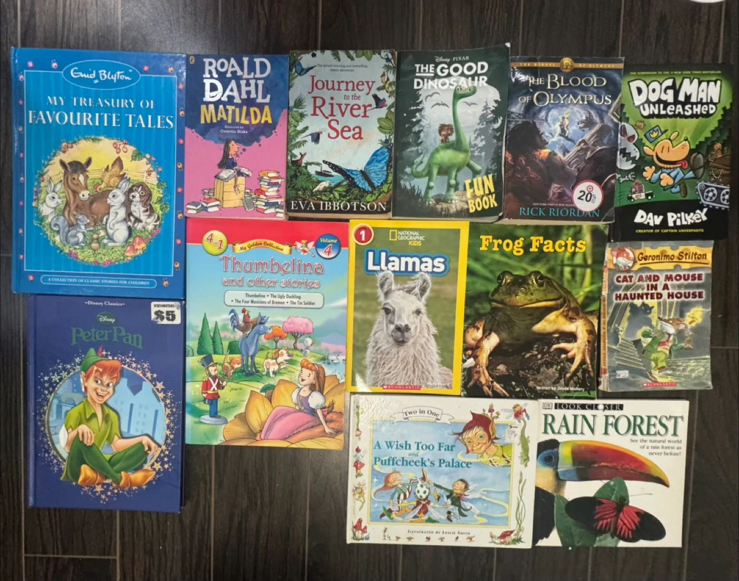 Kids' Book Bundle: Roald Dahl, Disney, Geronimo Stilton & More! thumbnail
