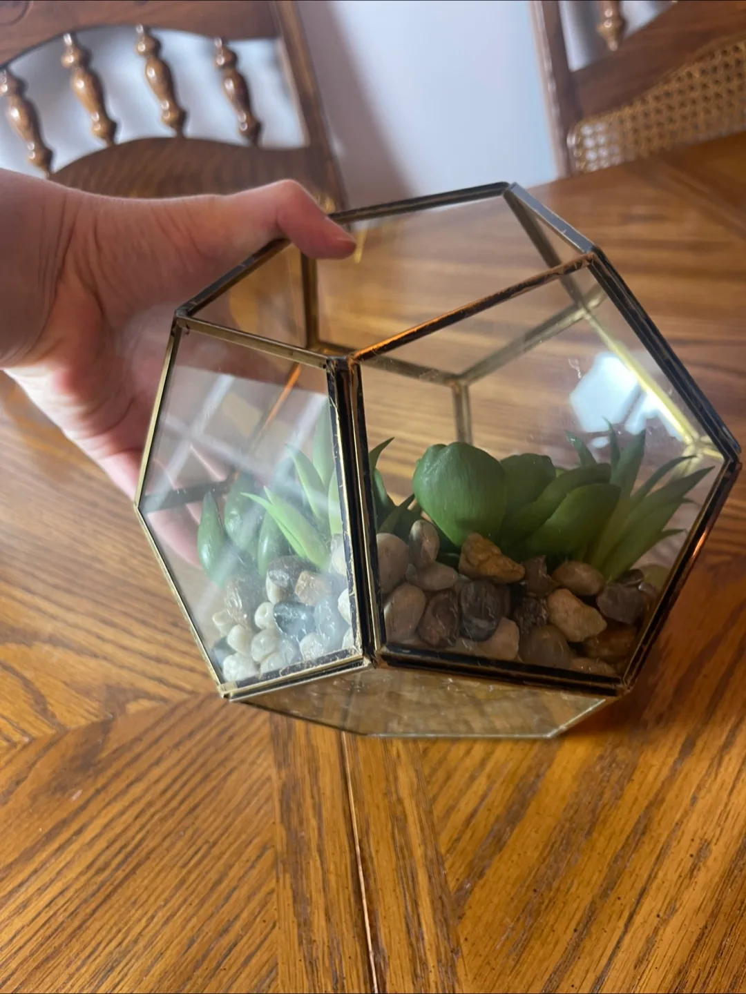 Geometric Terrarium with Faux Succulents image indicator(5)