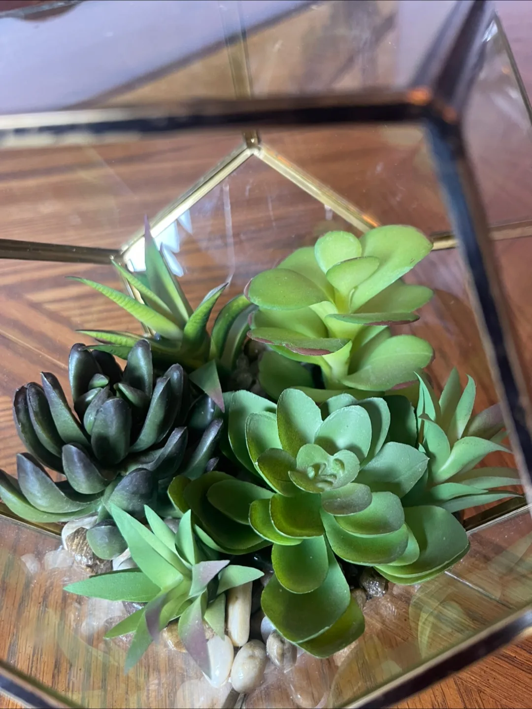 Geometric Terrarium with Faux Succulents image indicator(4)