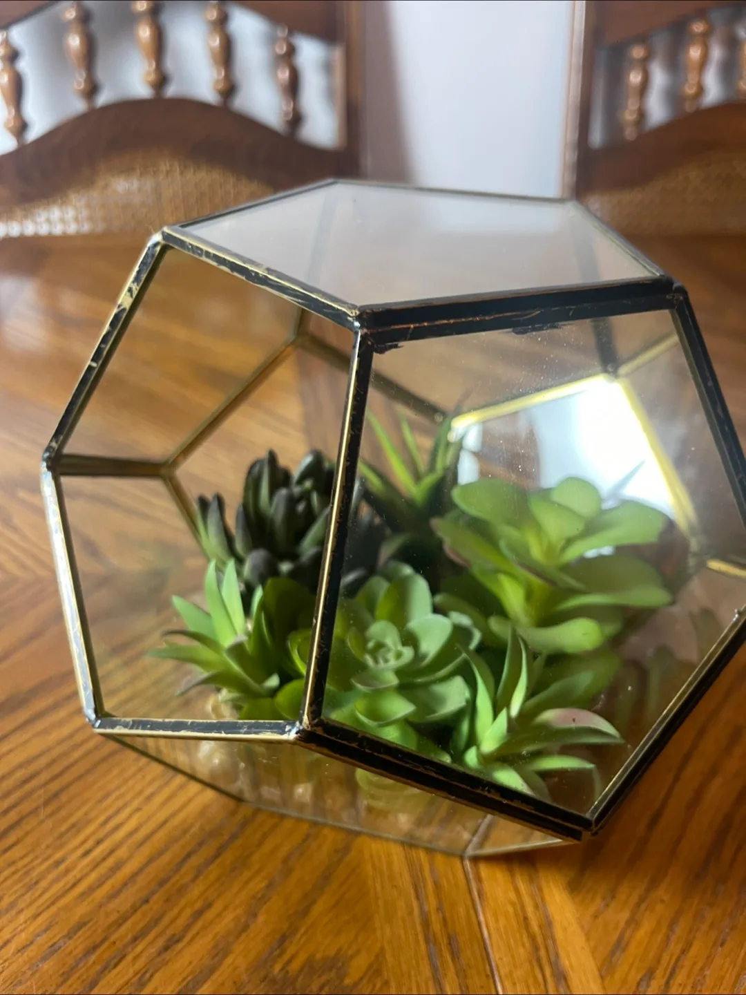Geometric Terrarium with Faux Succulents image indicator(2)