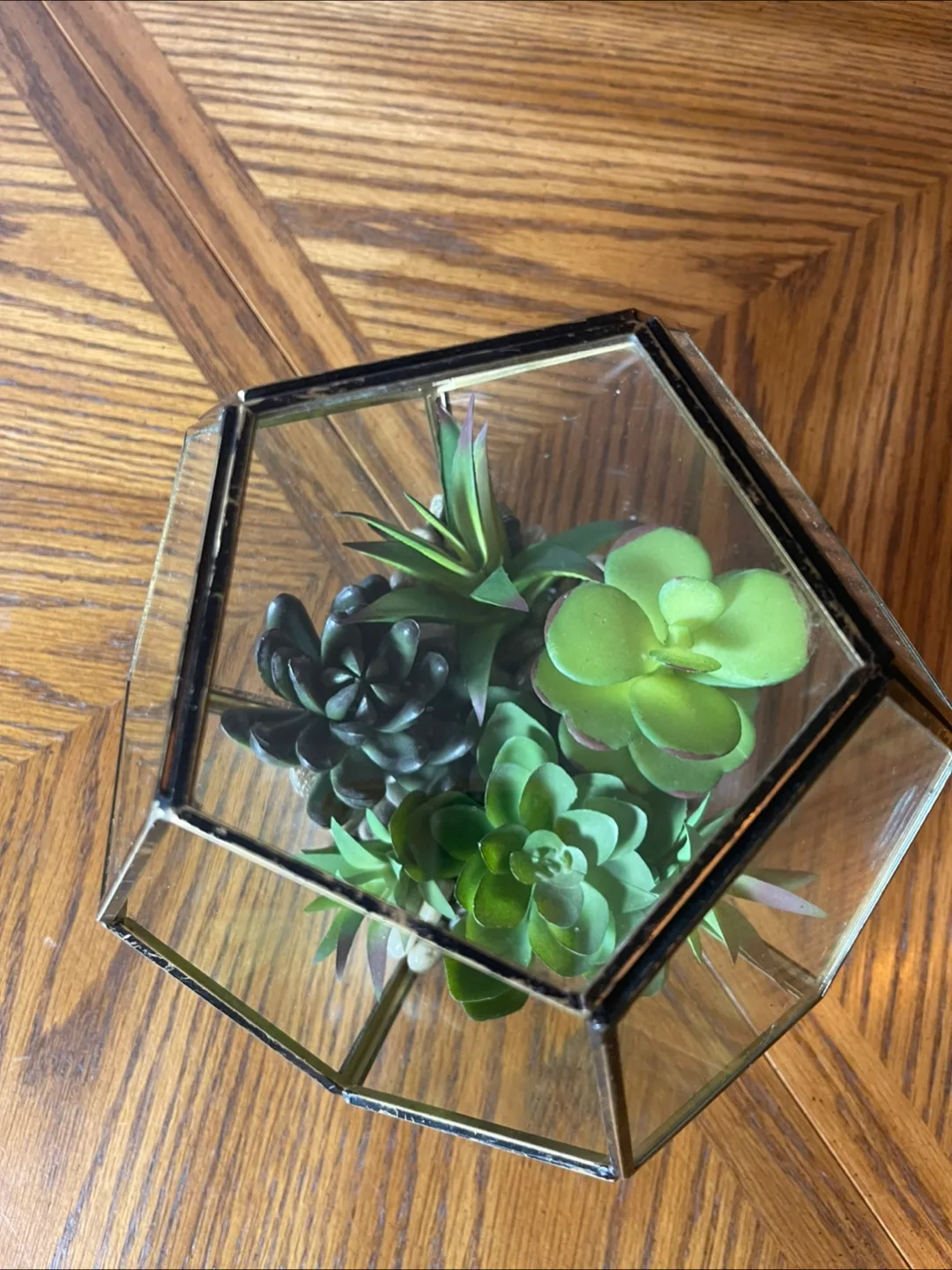 Geometric Terrarium with Faux Succulents image indicator(3)