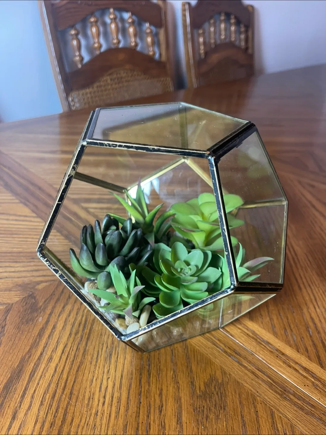 Geometric Terrarium with Faux Succulents thumbnail
