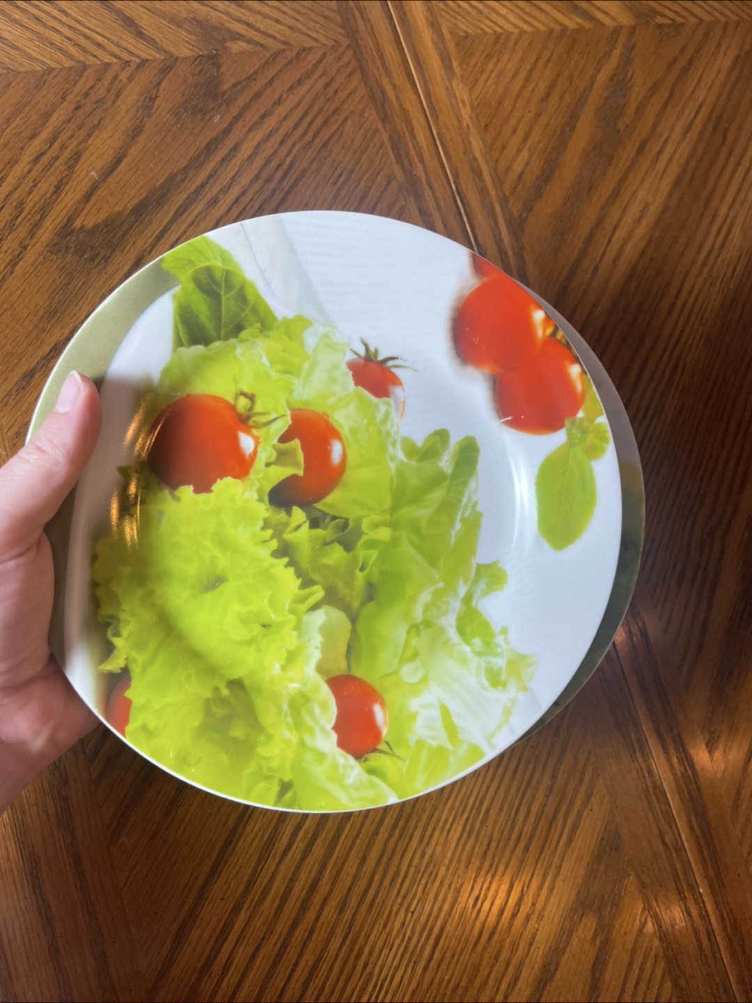 Easy Life Salad Plates - Set of 4