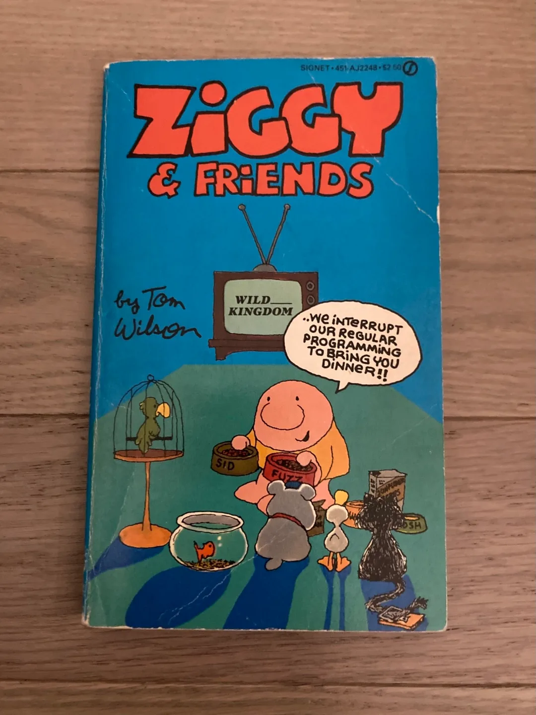 🇨🇦🍁vintage Ziggy & Friends by Tom Wilson thumbnail