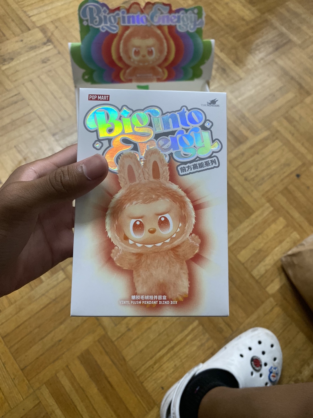 Pop Mart The Monsters Vinyl Plush Pendant Blind Box - photo 4