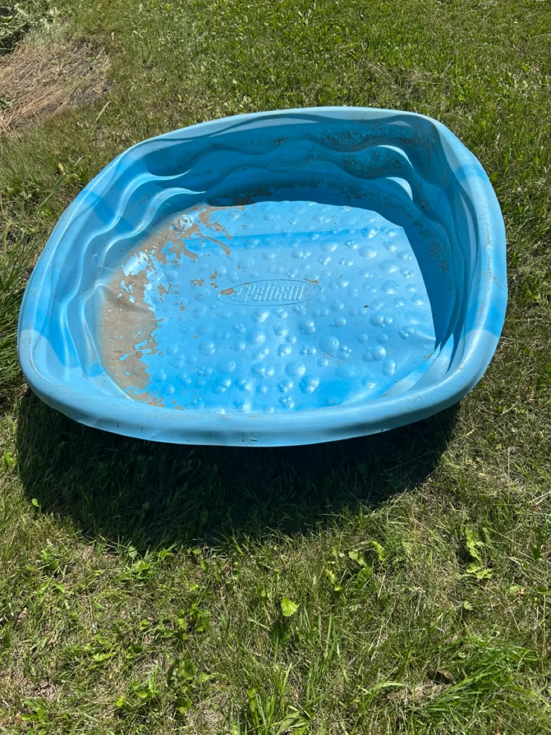 Kiddies pool thumbnail