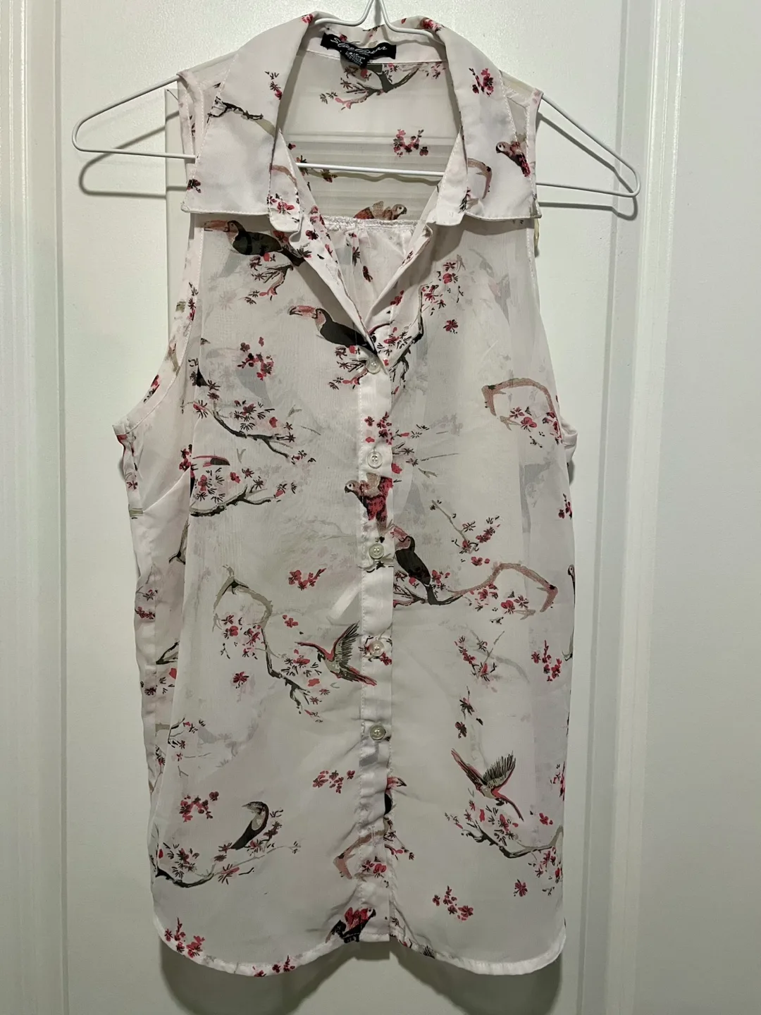 Sleeveless Sheer Blouse (S) thumbnail