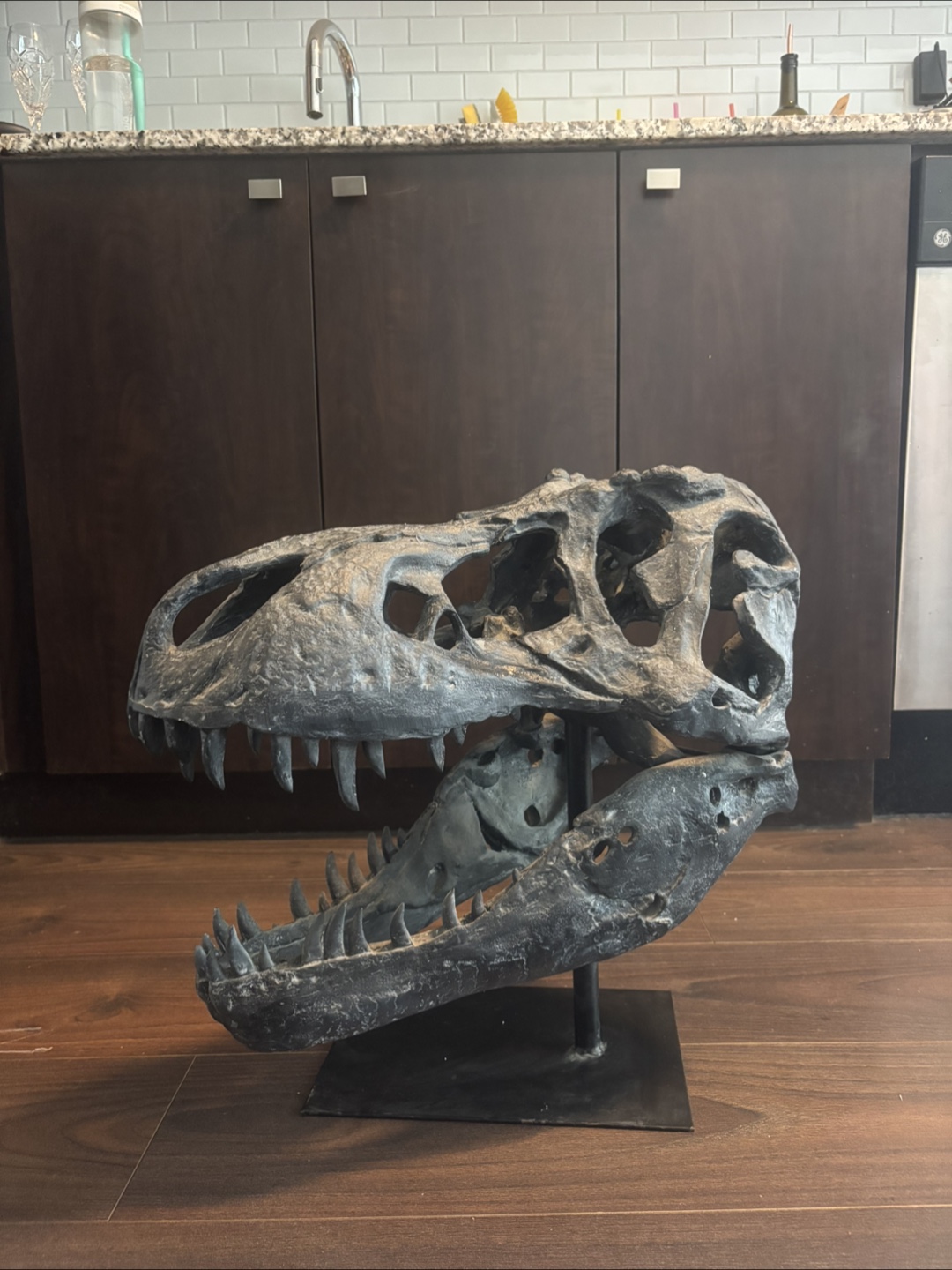 TRex Skull Replica - photo 2