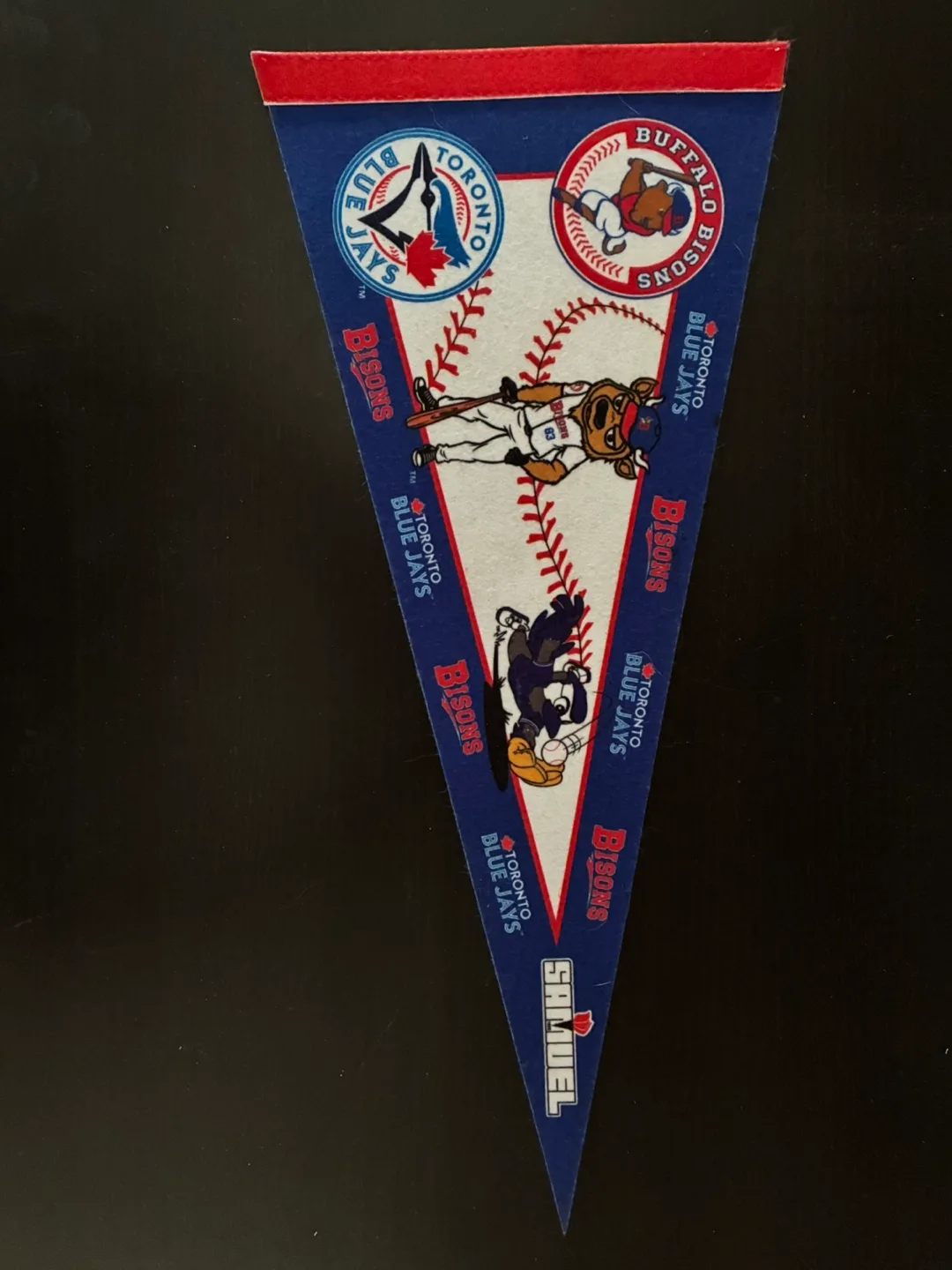 Toronto Blue Jays Pennants image indicator(3)