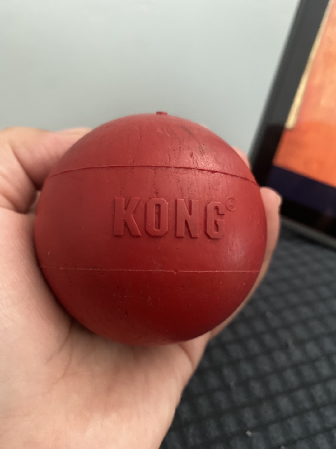 KONG Red Ball Dog Toy 🥕