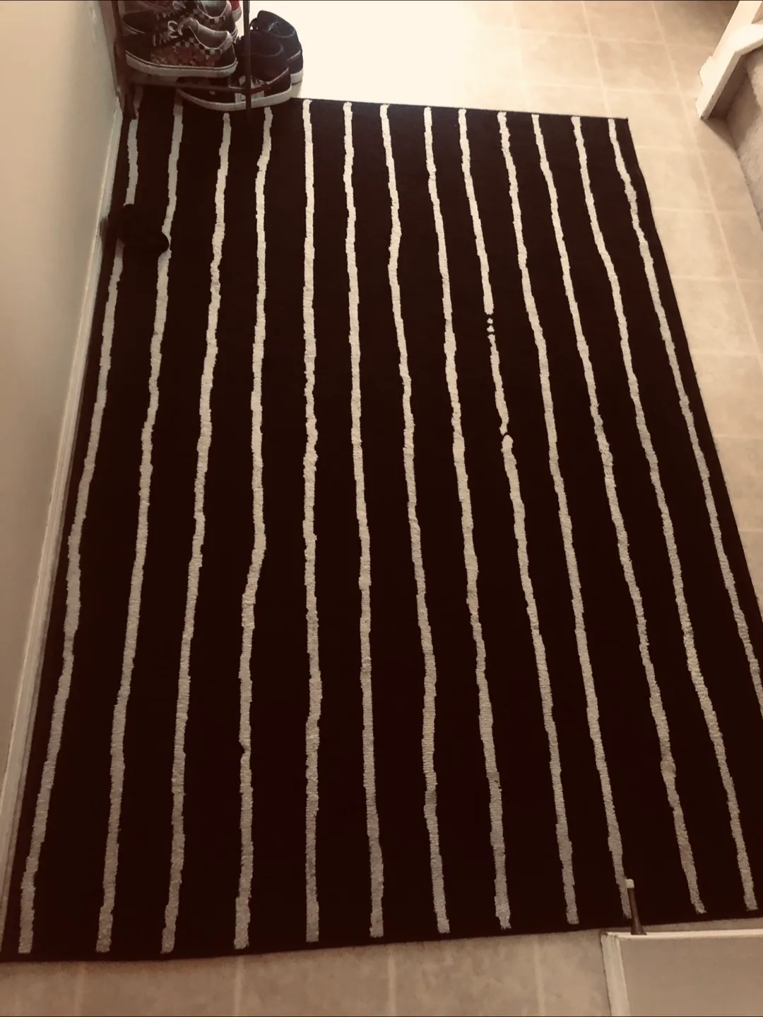 🇨🇦 Black and White Striped Area Rug thumbnail