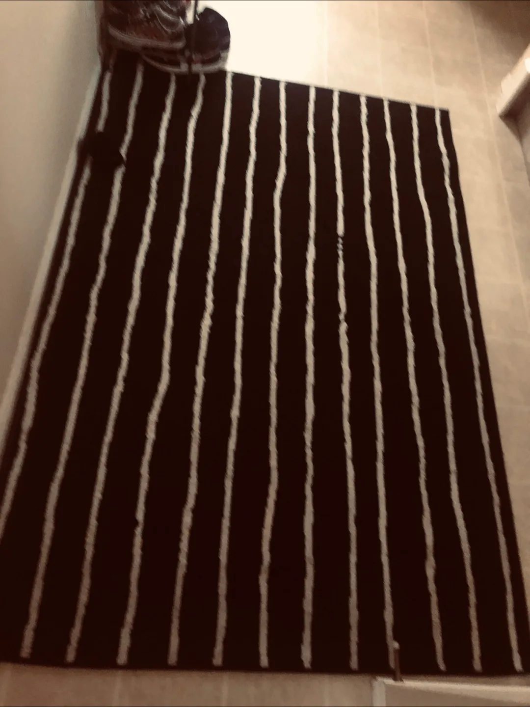 🇨🇦 Black and White Striped Area Rug image indicator(2)