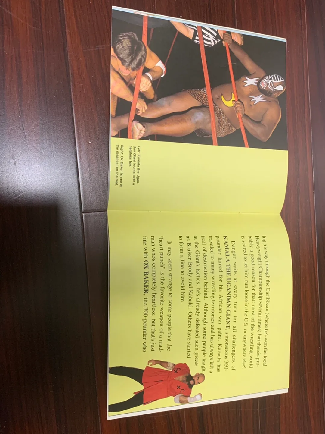 Wrestling book Ringside Wrestling Heroes and Villains. image indicator(5)