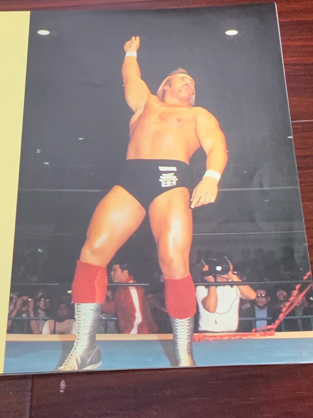 Wrestling book Ringside Wrestling Heroes and Villains. image indicator(3)