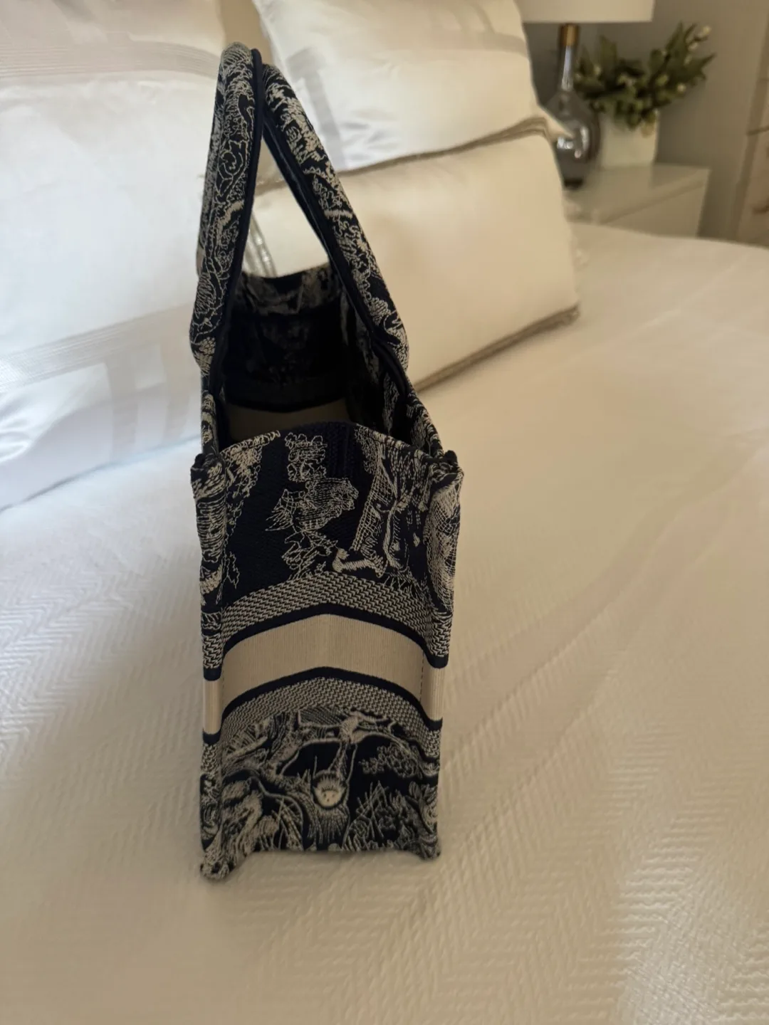 Christian Dior Book Tote Bag image indicator(4)