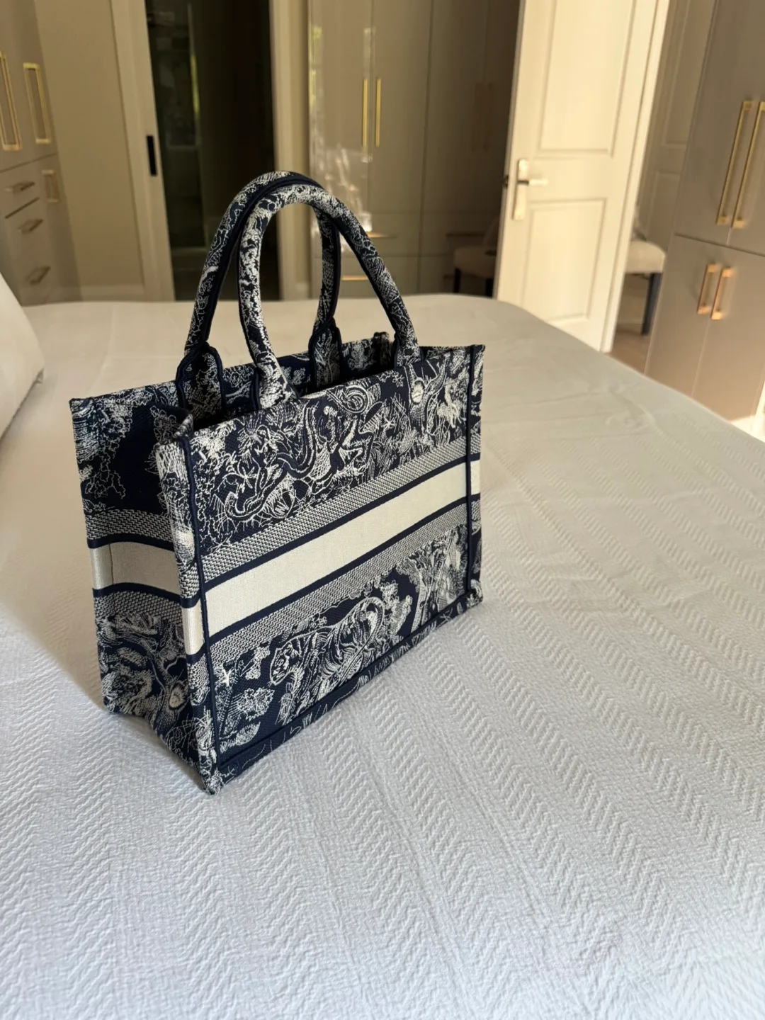 Christian Dior Book Tote Bag image indicator(2)