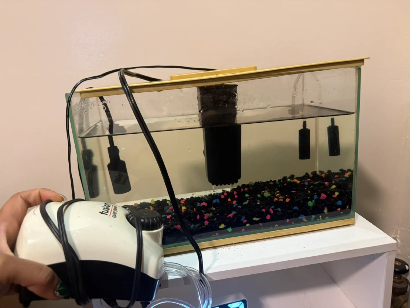 three-gallon fish tank, everything you see in the photo. thumbnail
