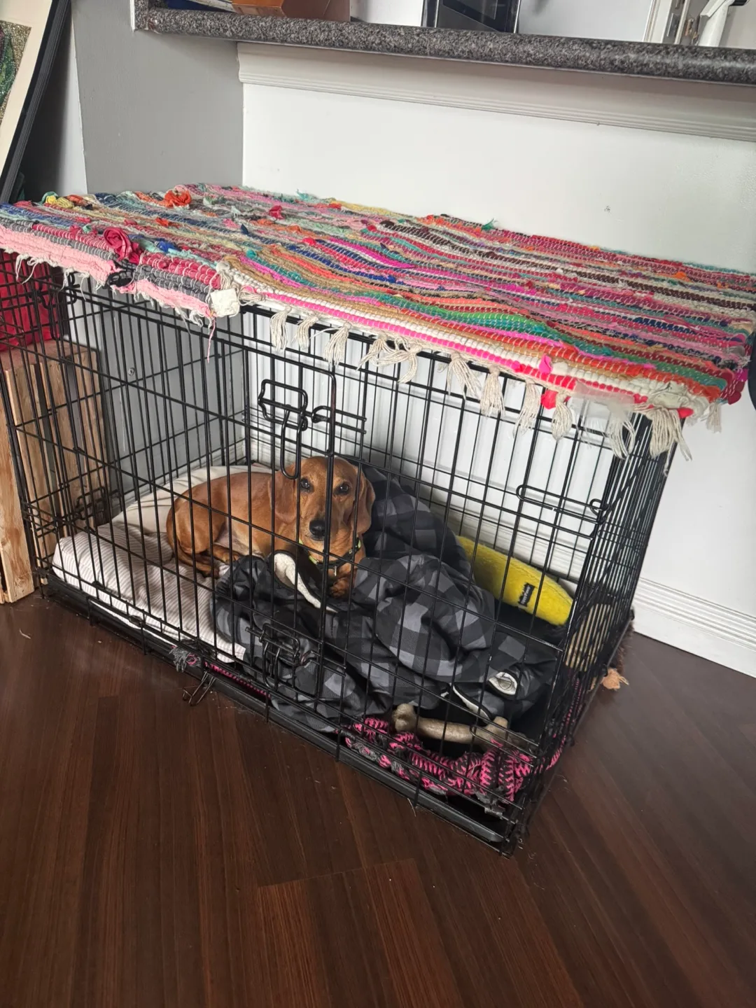 Large Dog Crate thumbnail