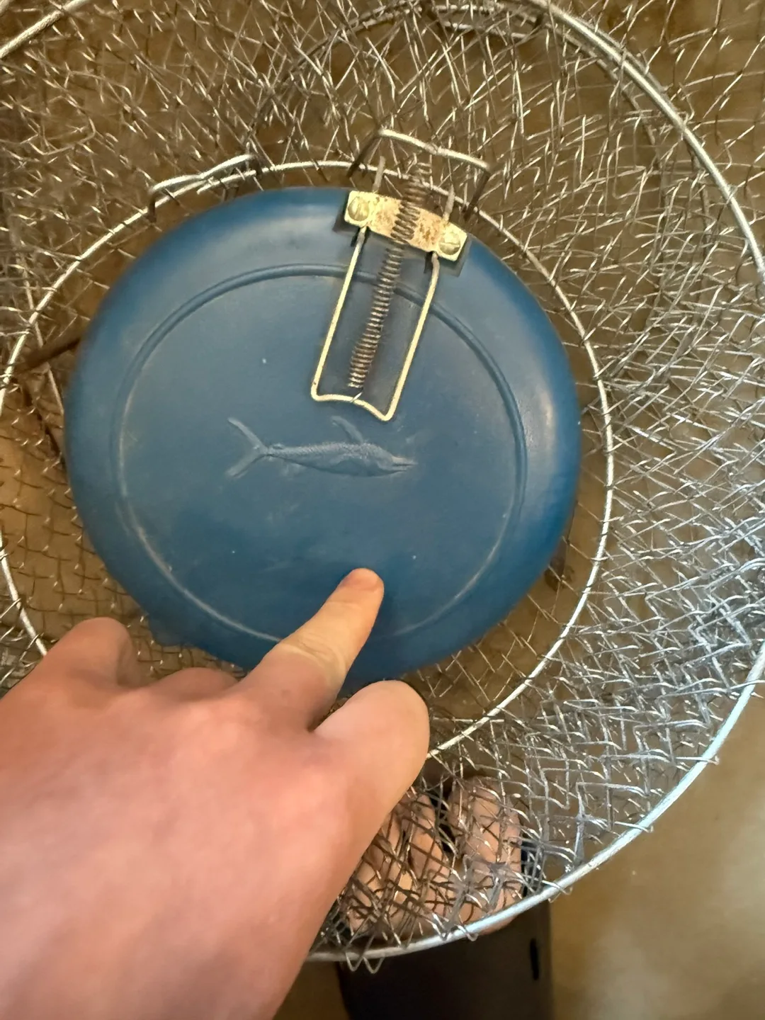 Wire Minnow Trap with Blue Lid thumbnail