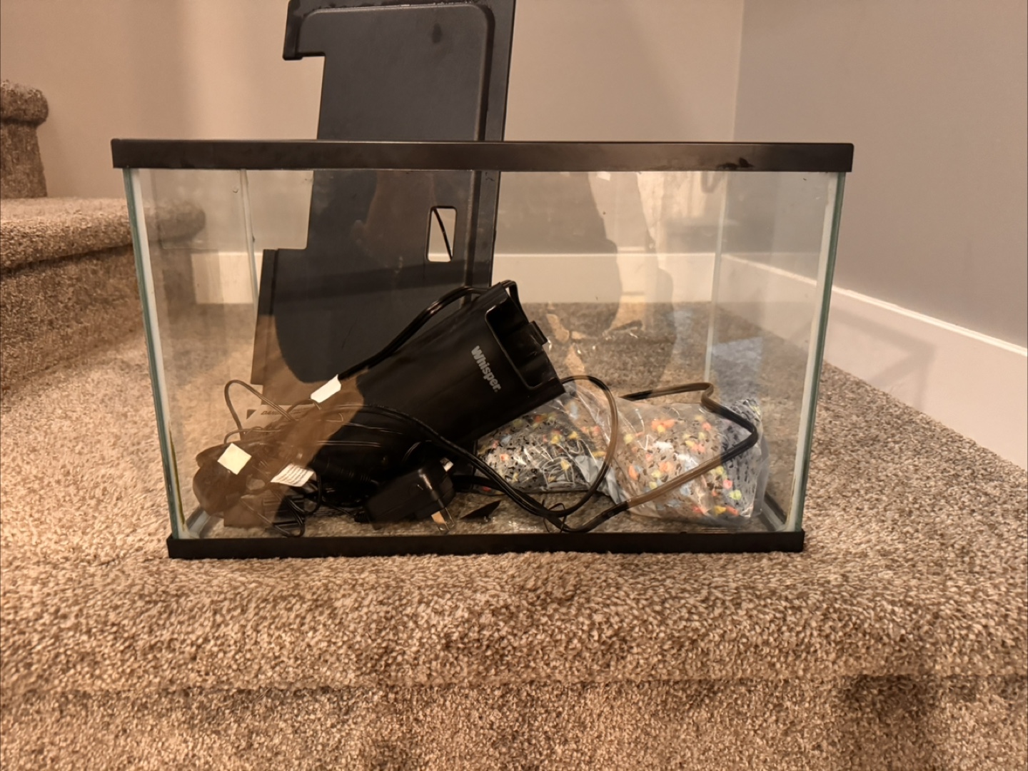 Fish Tank with Whisper Filter and Gravel