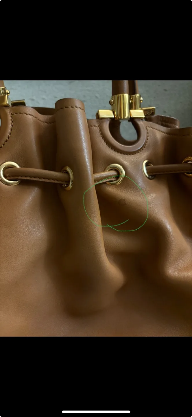 Authentic Ferragamo  bag image indicator(9)