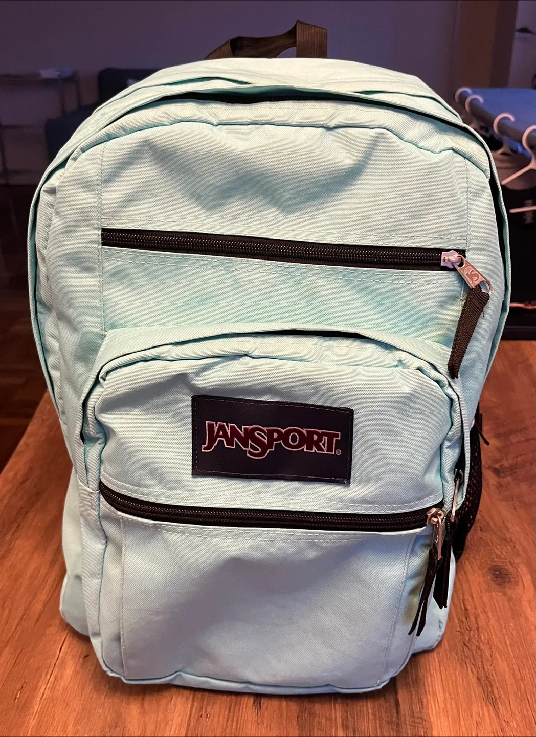 JanSport Big Student Backpack - Mint image indicator(4)