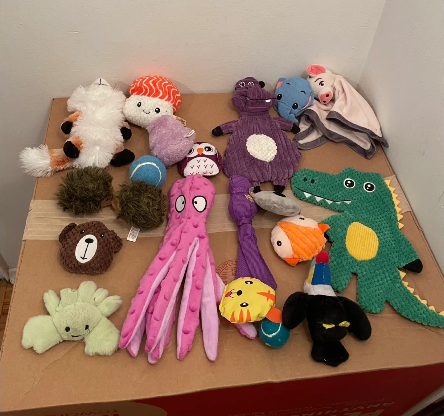 10pc Dog Toys thumbnail