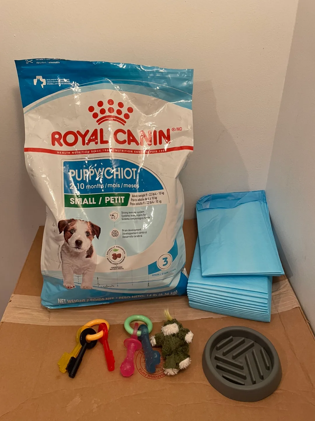 Puppy Food & Accessories Lot thumbnail