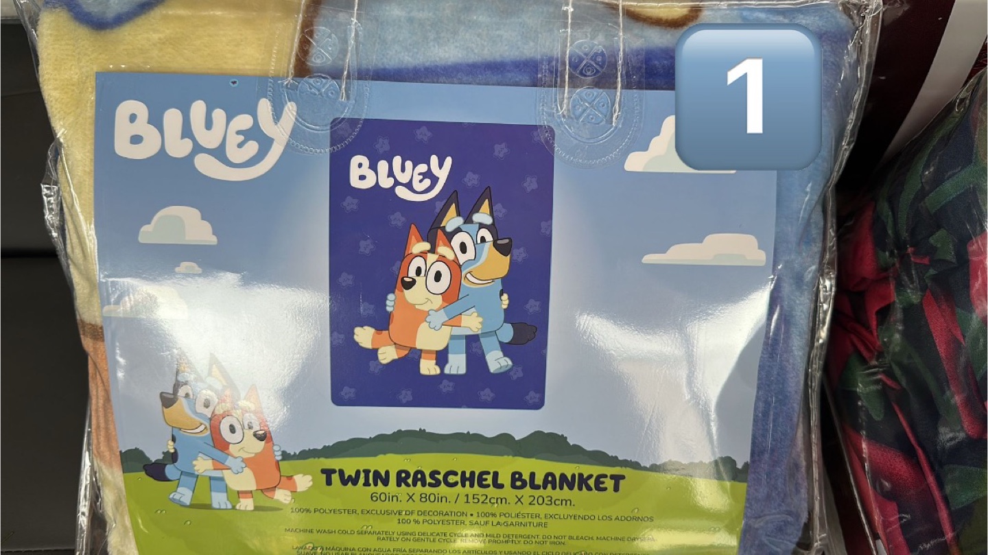 Bluey, Disney Mickey Mouse Twin Raschel Blanket