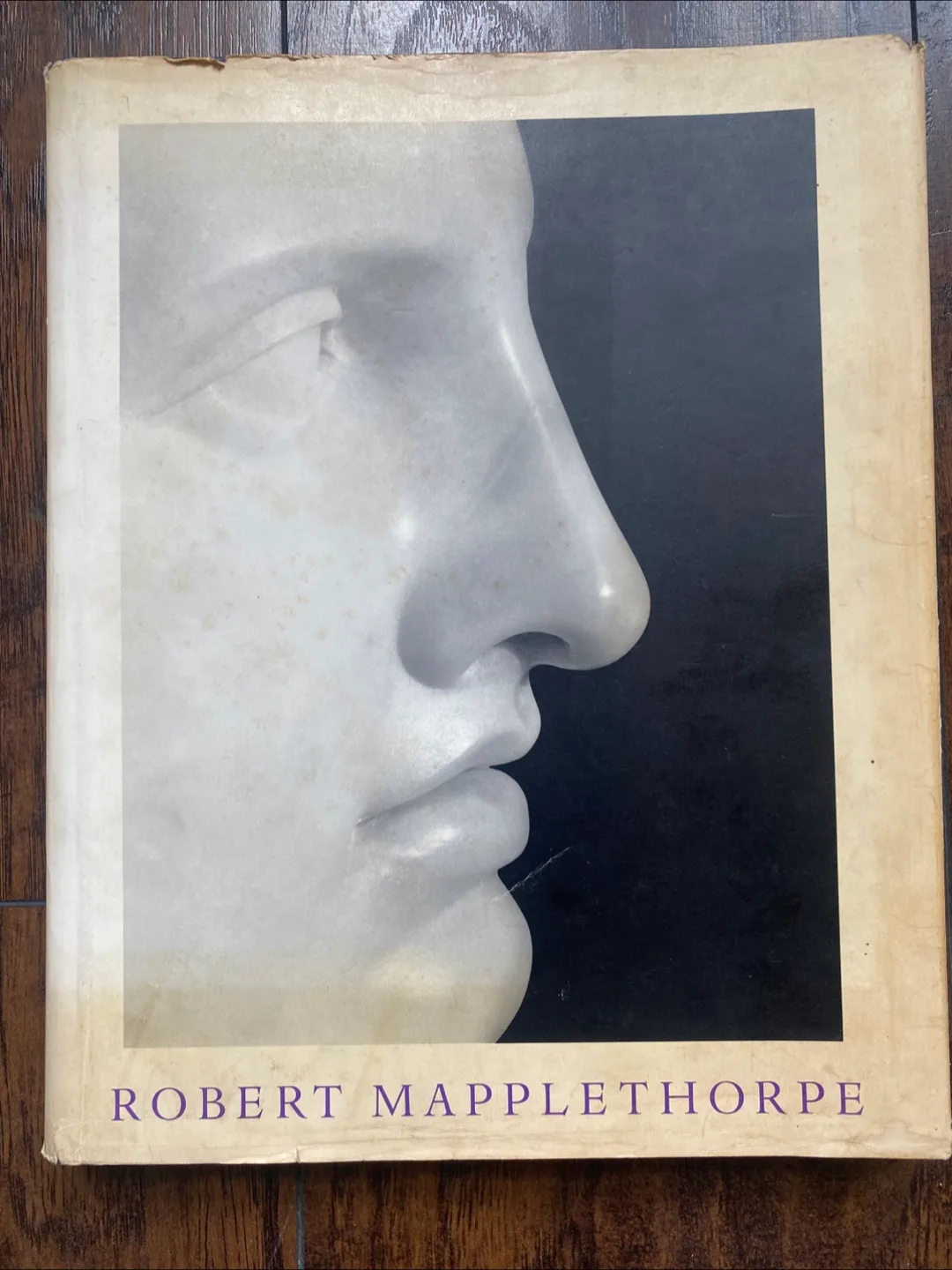 Robert Mapplethorpe Book thumbnail