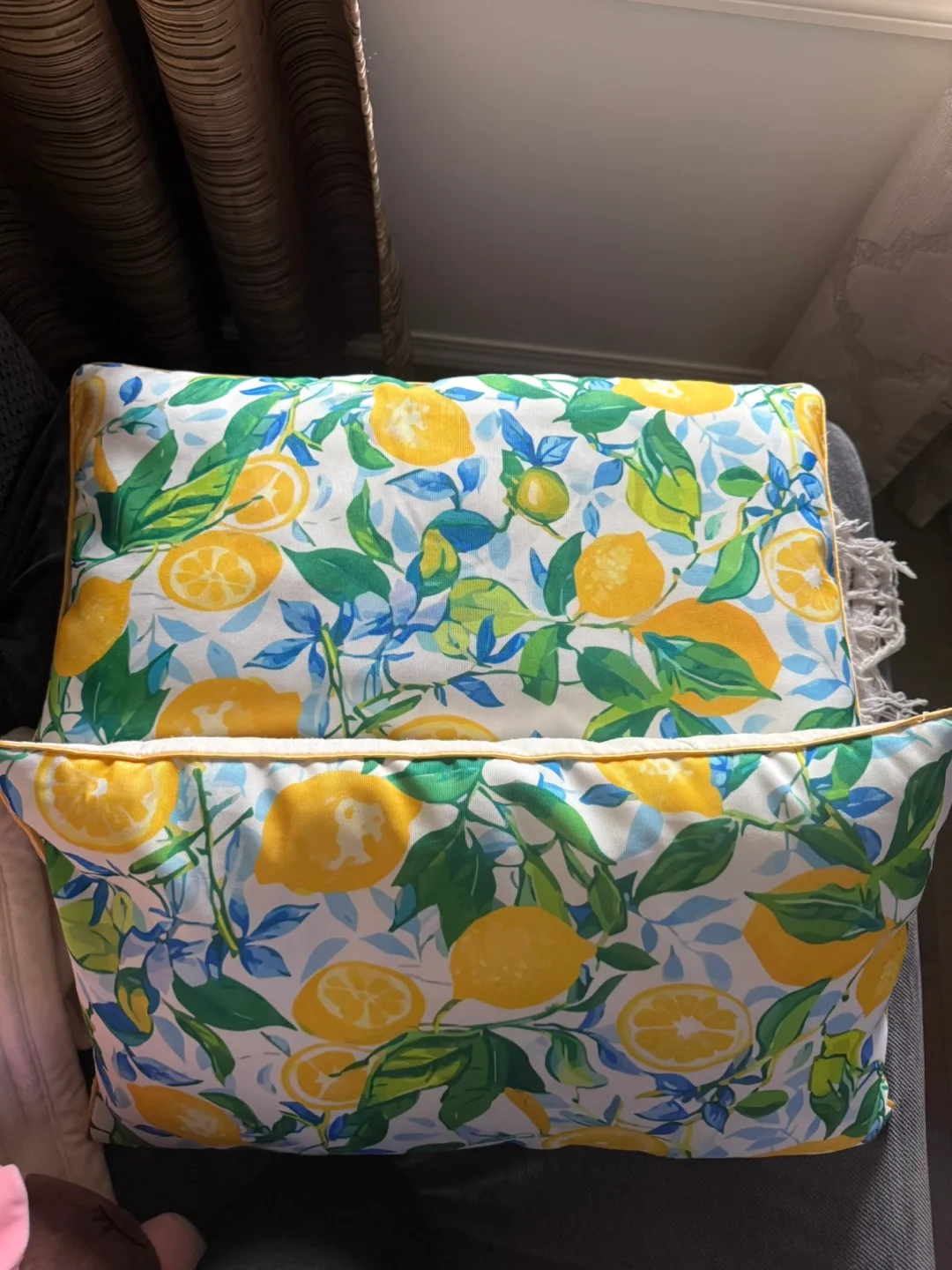 Outdoor Lemmon tree cushions image indicator(2)