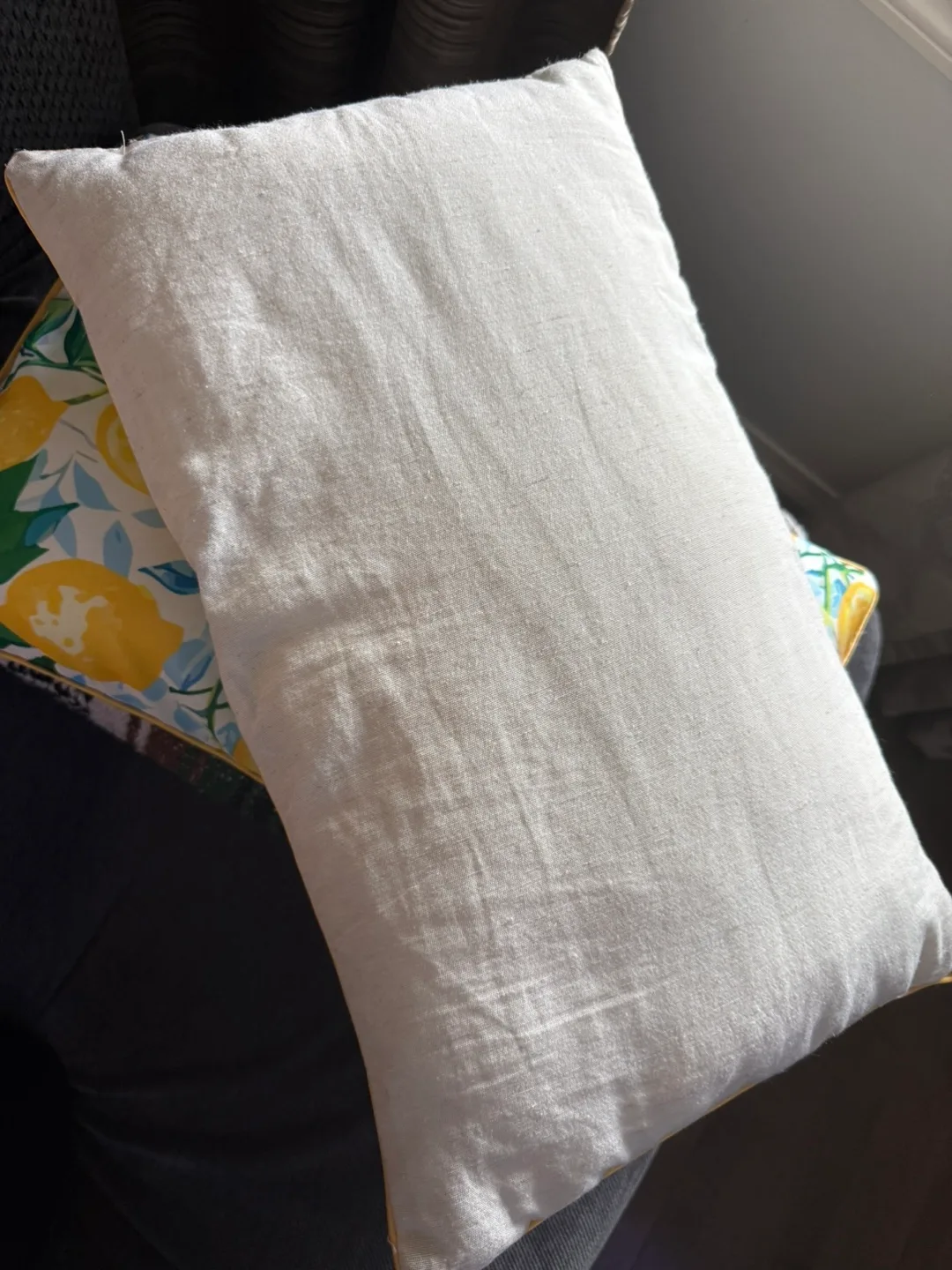 Outdoor Lemmon tree cushions image indicator(3)