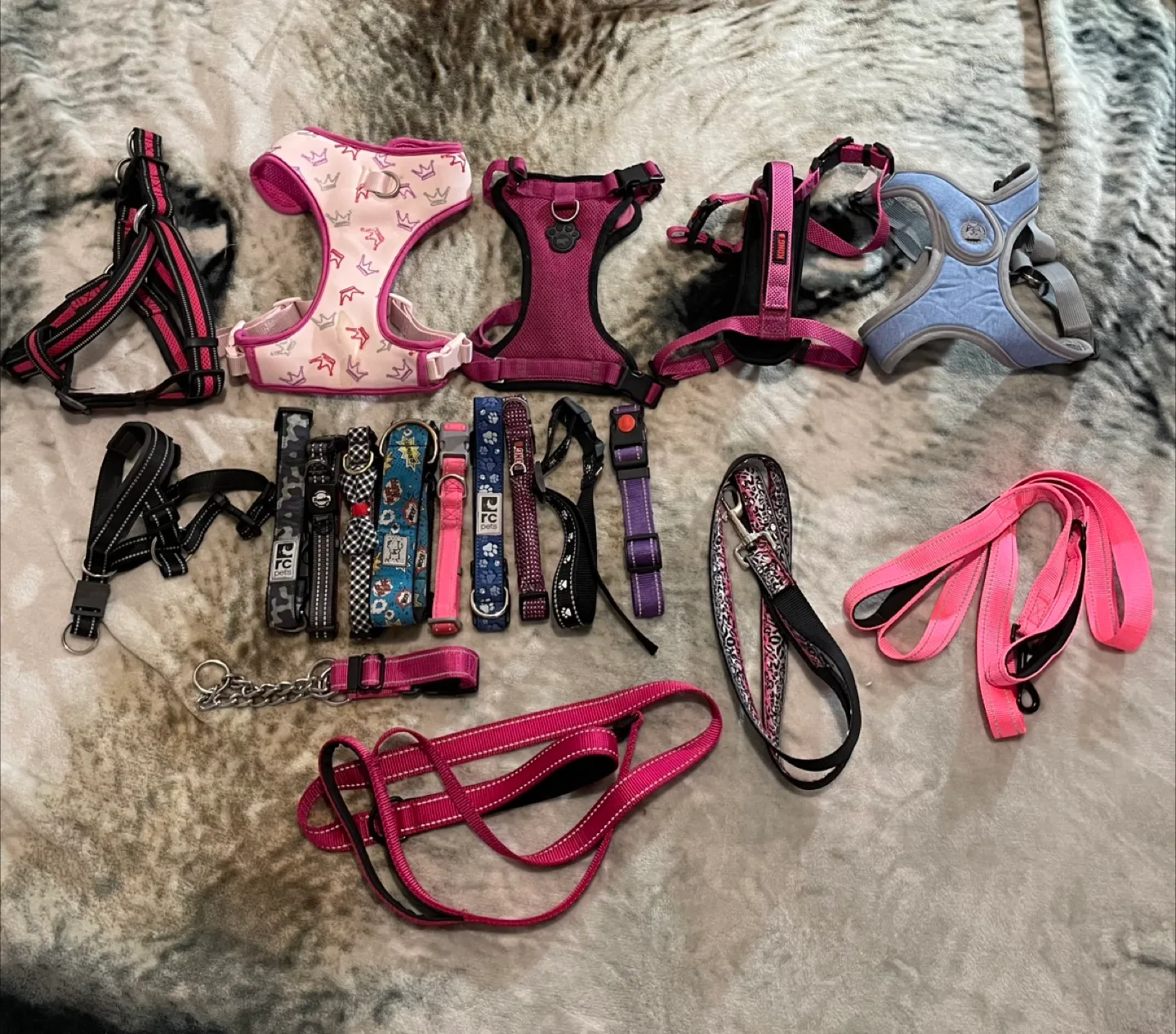 Medium Dog Supplies Lot thumbnail