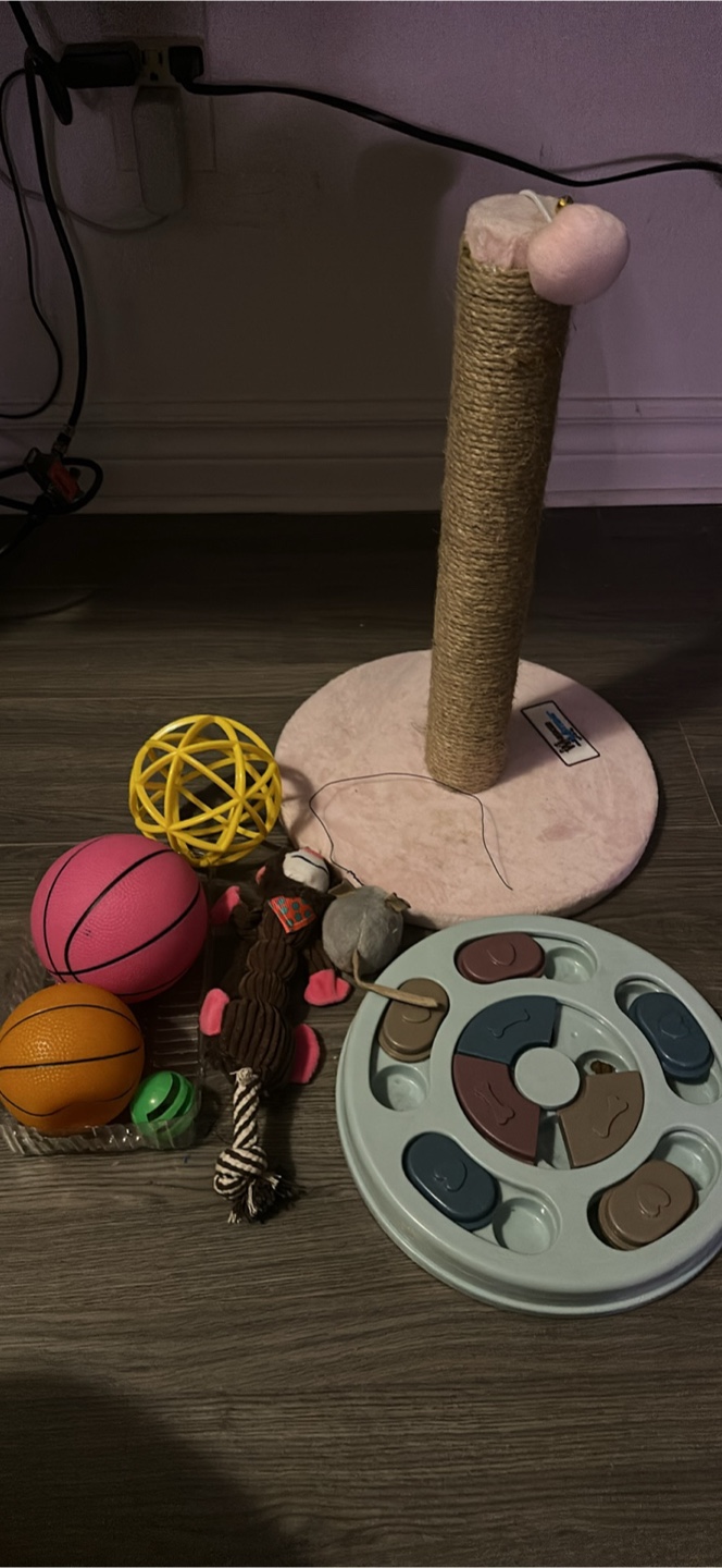 Cat Toys & Scratching Post Bundle