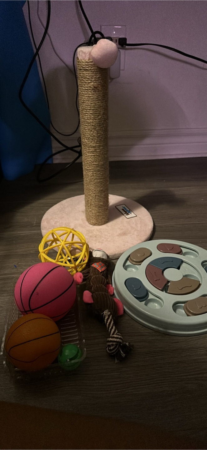 Cat Toys & Scratching Post Bundle - photo 2