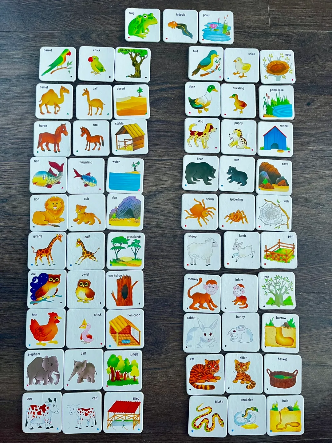 Animal Picture Matching Game flash cards thumbnail