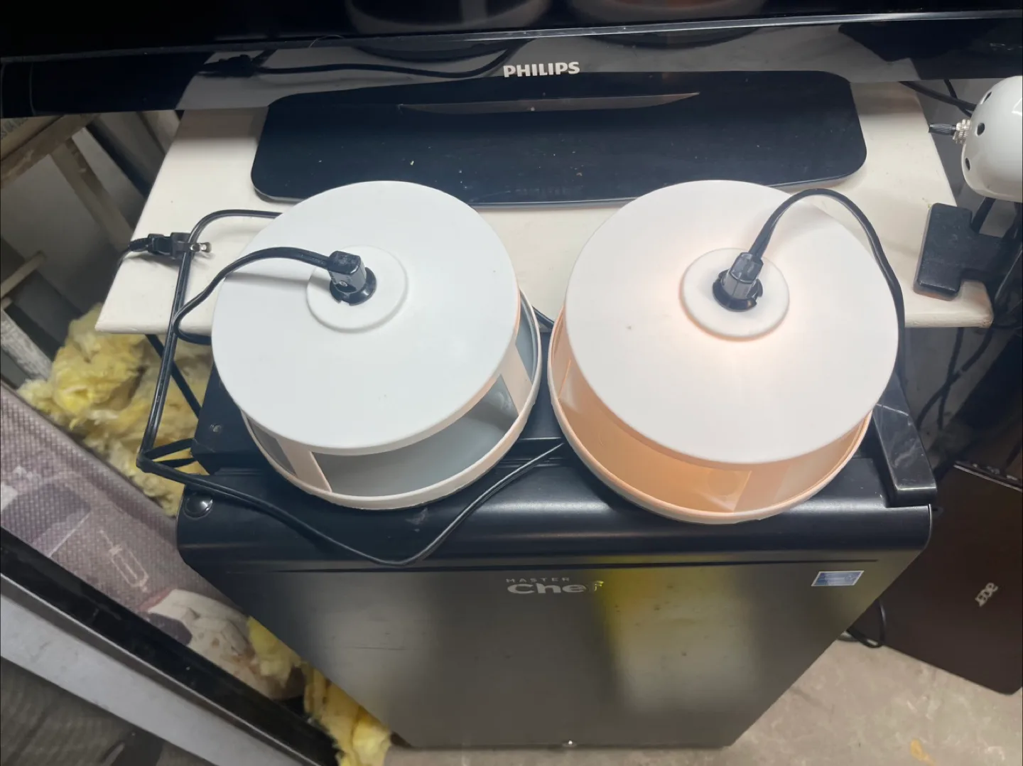 New flea trap image indicator(3)