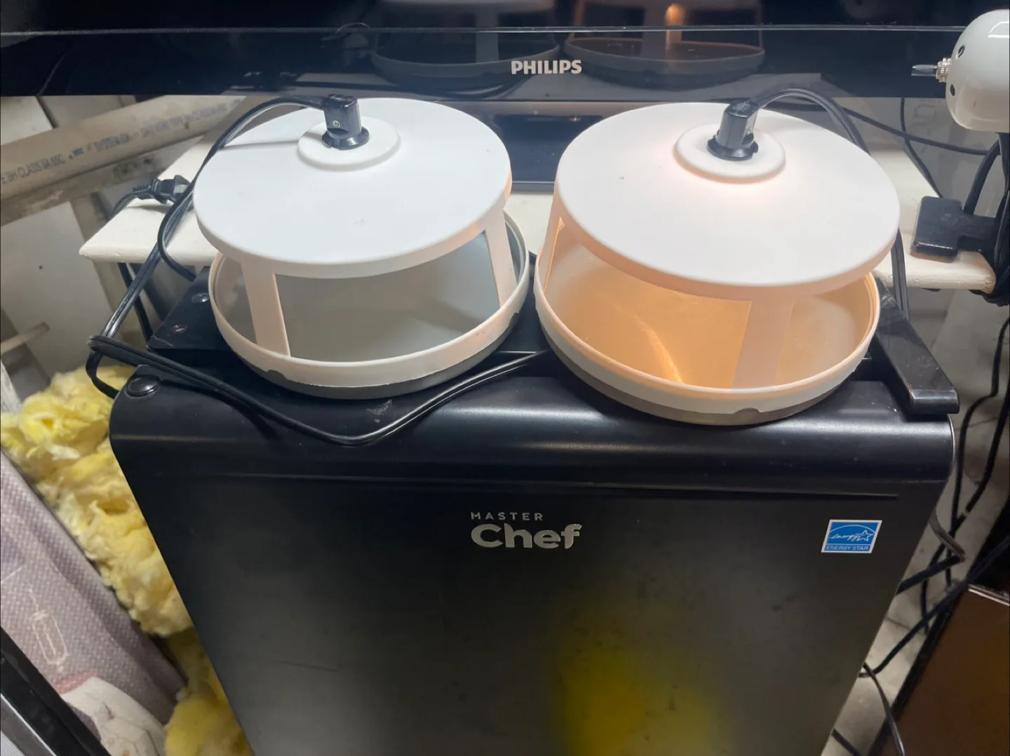 New flea trap image indicator(4)