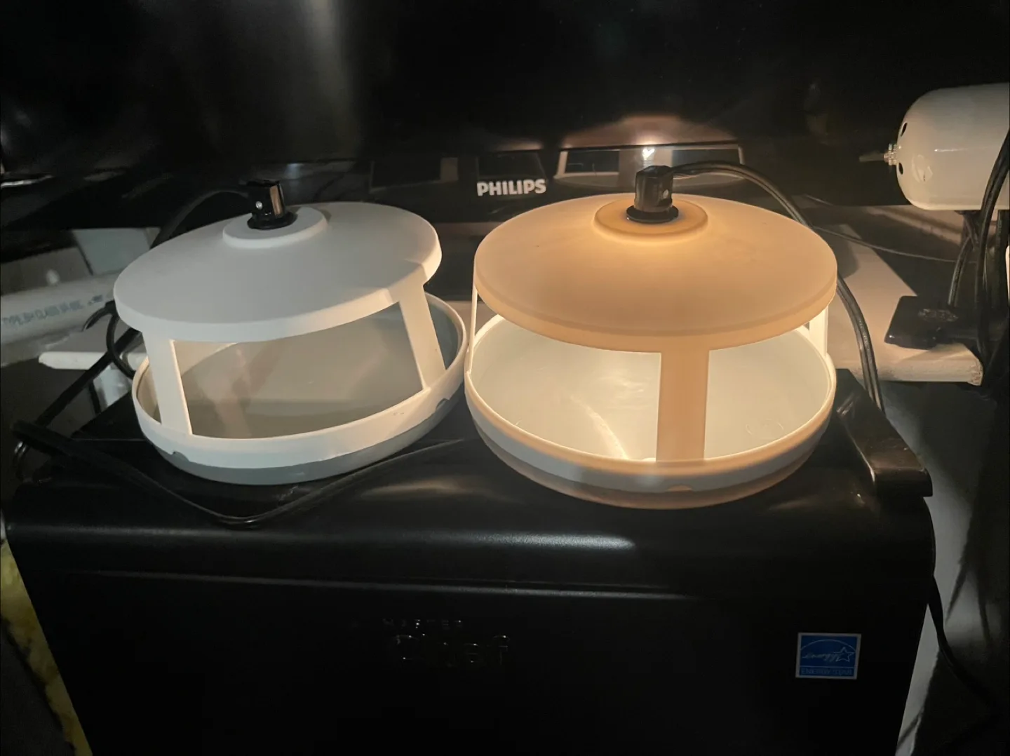 New flea trap image indicator(5)