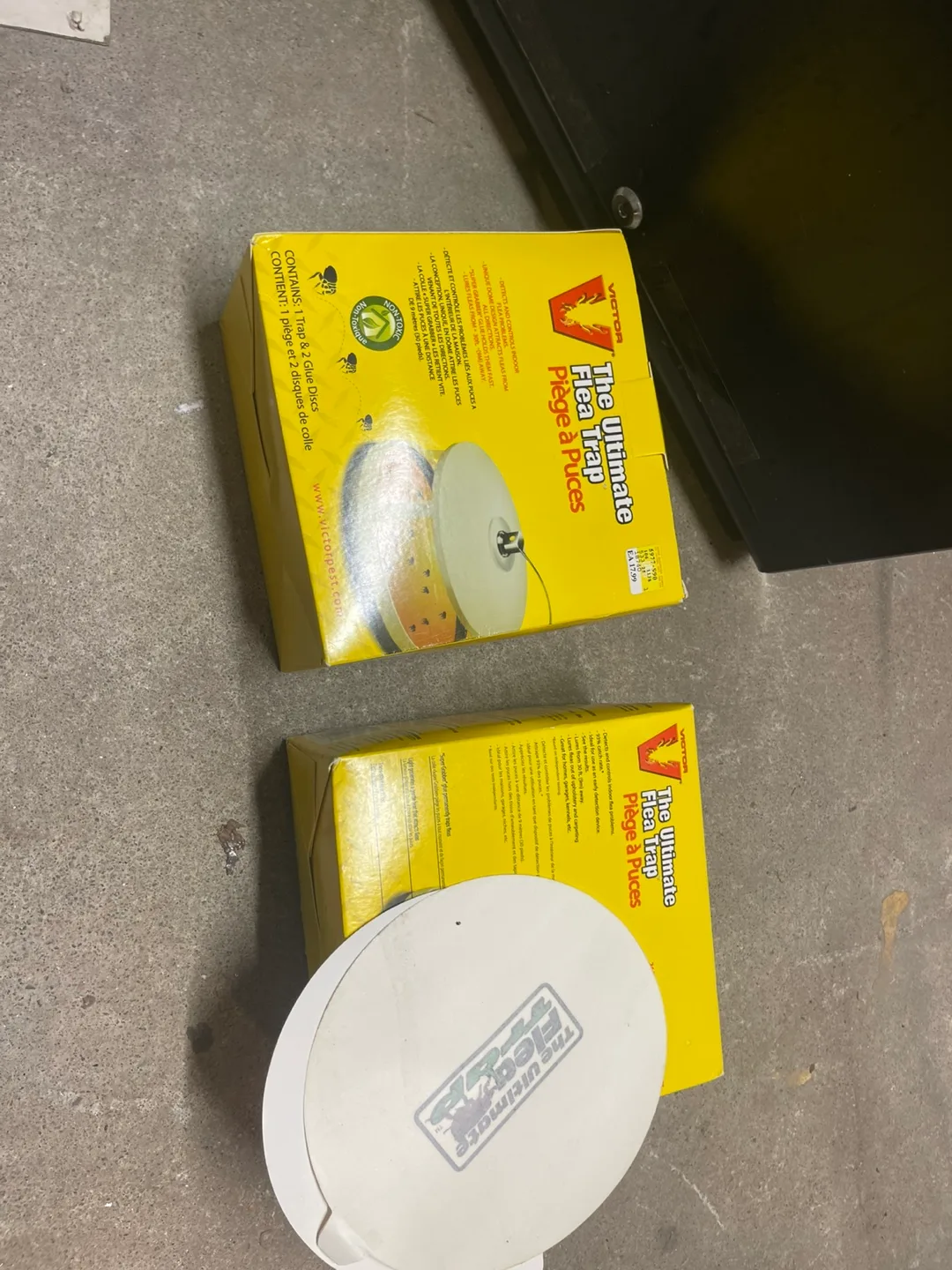 New flea trap image indicator(2)