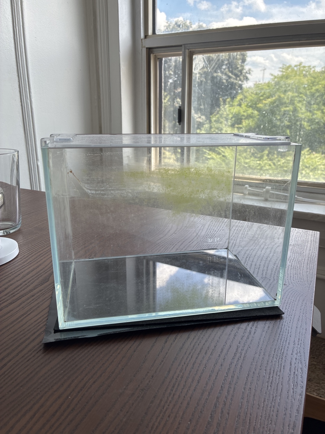 Small Glass Aquascaping Tank